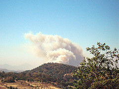 firecalif20071