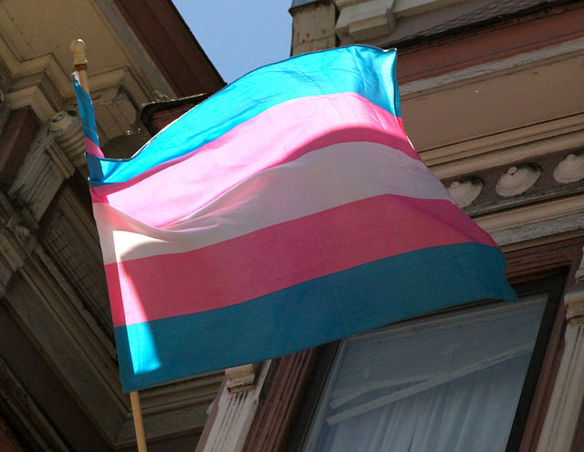 transgender flag