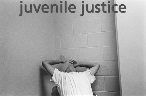 another word for committed juvenile justice