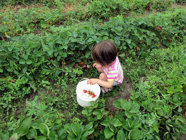 child labor